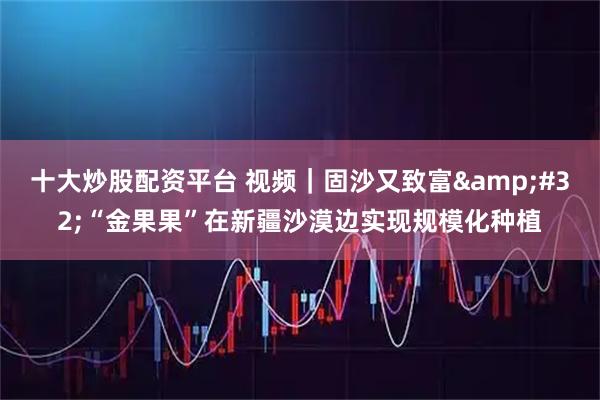 十大炒股配资平台 视频｜固沙又致富 “金果果”在新疆沙漠边实现规模化种植